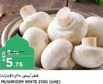 Aswaaq MUSHROOM WHITE 250G offer