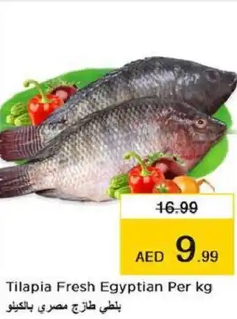 Last Chance Tilapia Fresh Per kg offer