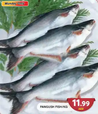 Grand Hyper Market PANGUSH FISH/KG offer