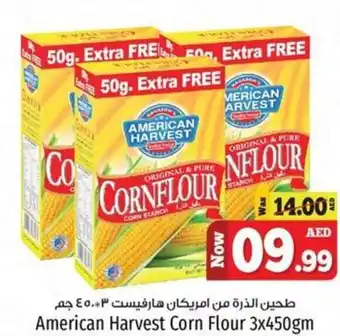 Kenz Hypermarket American Harvest Corn Flour 3x450gm offer