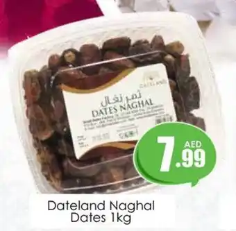 Amber Dateland Naghal Dates 1kg offer