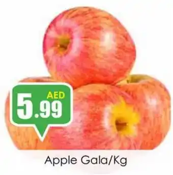 Amber Apple Gala/Kg offer