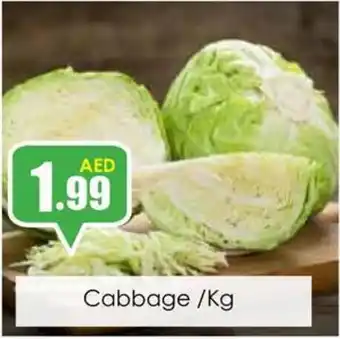 Amber Cabbage /Kg offer