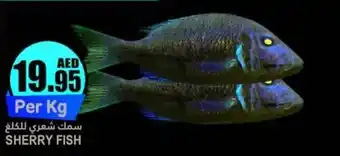 Almaya supermarket SHERRY FISH offer