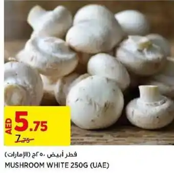 Aswaaq MUSHROOM WHITE 250G offer