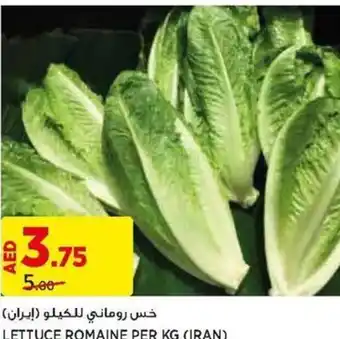 Aswaaq LETTUCE ROMAINE PER KG offer