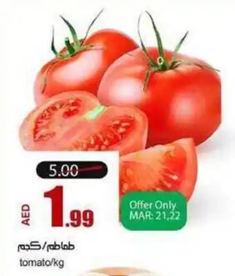 Rawabi Market Tomato/kg offer