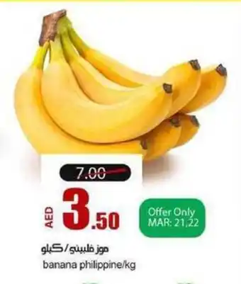 Rawabi Market Banana philippine/kg offer