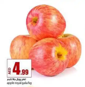 Rawabi Market Apple royal gala/kg offer