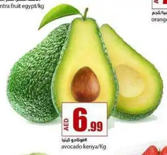 Rawabi Market Avocado /Kg offer