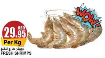 Almaya supermarket FRESH SHRIMPS offer