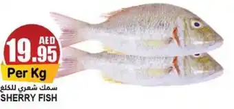 Almaya supermarket SHERRY FISH offer