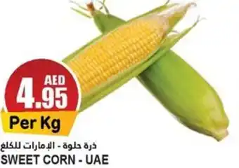 Almaya supermarket SWEET CORN offer