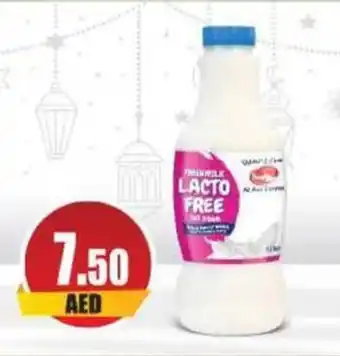 Almaya supermarket FRESH MLIK LACTO FREE offer