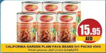 Almaya supermarket CALIFORNIA GARDEN PLAIN FAVA BEANSCALIFORNIA GARDEN PLAIN FAVA BEANS 450G offer