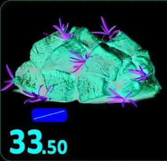 Union Coop Beef Cubes Boneless Kg offer