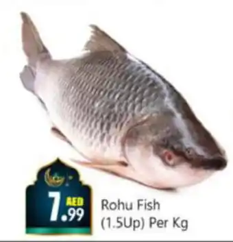 Bigmart Rohu Fish 1.5Up Per Kg offer
