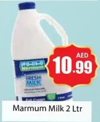 Amber Marmum Milk 2 Ltr offer