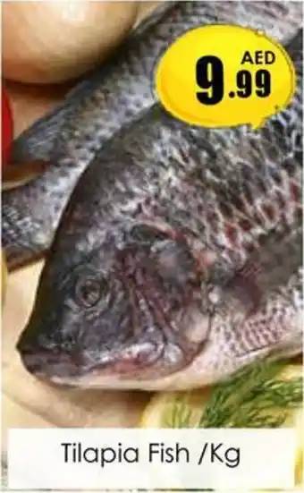 Amber Tilapia Fish/Kg offer