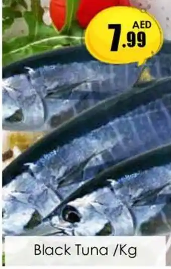Amber Black Tuna /Kg offer