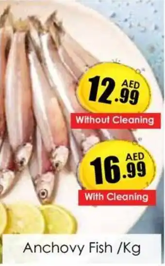 Amber Anchovy Fish /Kg Without Cleaning offer