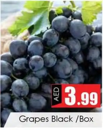 Amber Grapes Black/Box offer