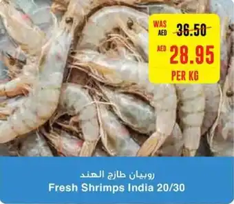 Abu Dhabi Coop Fresh Shrimps 20/30 PER KG offer