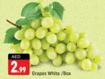 Shaklan Grapes White Box offer