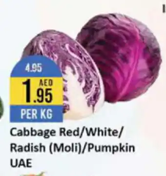 West Zone Supermarket Cabbage Red/White/ Radish (Moli)/Pumpkin offer