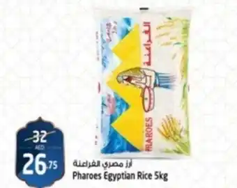 Safari Hypermarket Pharoes Egyptian Rice 5kg offer