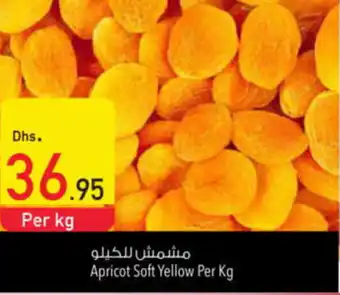 Safeer Market Apricot Soft Yellow Per Kg offer