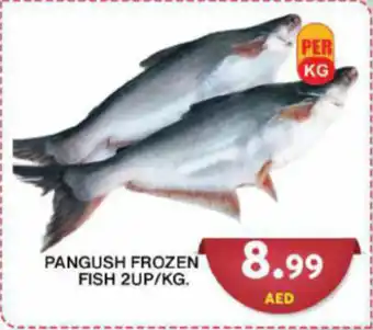 Grand Hyper Market PANGUSH FROZEN FISH 2UP / KG. offer