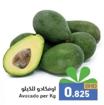 Avocado per Kg