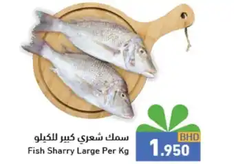 Ramez Fish Sharry Large Per Kg offer