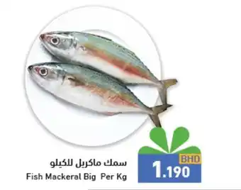 Ramez Fish Mackeral Big Per Kg offer