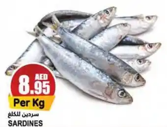 Almaya supermarket SARDINES offer