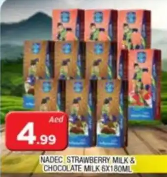 Al Madina NADEC STRAWBERRY MILK & CHOCOLATE MILK 6X180ML offer