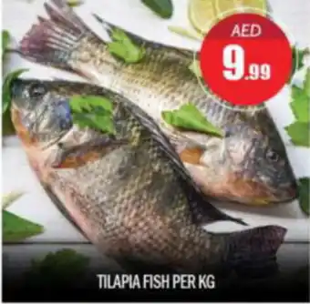 Bigmart TILAPIA FISH PER KG offer