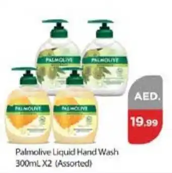 Nesto Palmolive Liquid Hand Wash 300mL X2 Assorted offer