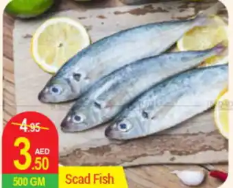 New W Mart Scad Fish 500 GM offer