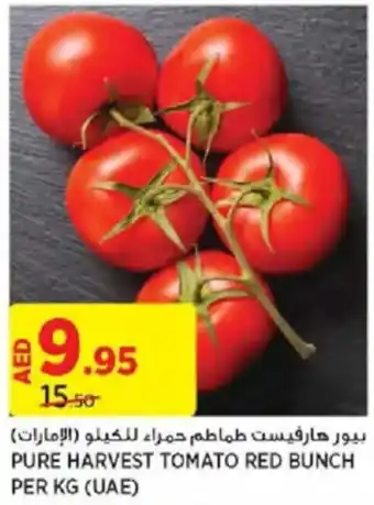 Géant PURE HARVEST TOMATO RED BUNCH PER KG offer