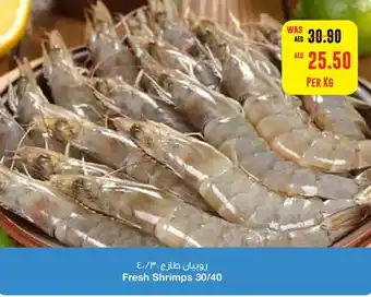 Megamart Fresh Shrimps 30/40 offer