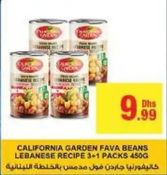 Emirates Co-op CALIFORNIA GARDEN FAVA BEANS LEBANESE RECIPE 3+1 PACKS 450G offer