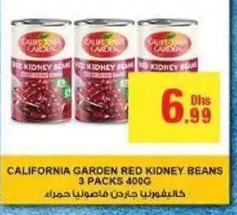 Emirates Co-op CALIFORNIA GARDEN RED KIDNEY BEANS 3 PACKS 400G offer