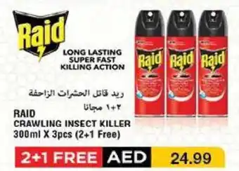 Emirates Co-op RAID CRAWLING INSECT KILLER 300ml X 3pcs (2+1 Free) offer