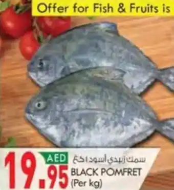 KM Trading BLACK POMFRET offer