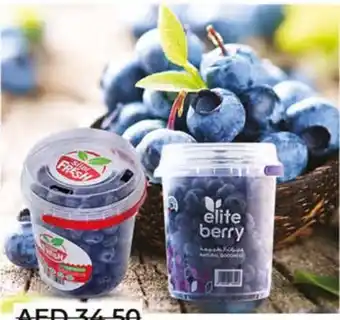 Lulu Hypermarket Blueberry UAE 500gm offer