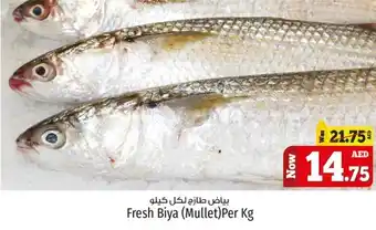 Kenz Hypermarket Fresh Biya (Mullet)Per Kg offer