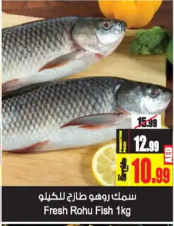 Ansar Mall Fresh Rohu Fish 1kg offer