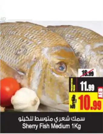 Ansar Mall Sherry Fish Medium 1Kg offer